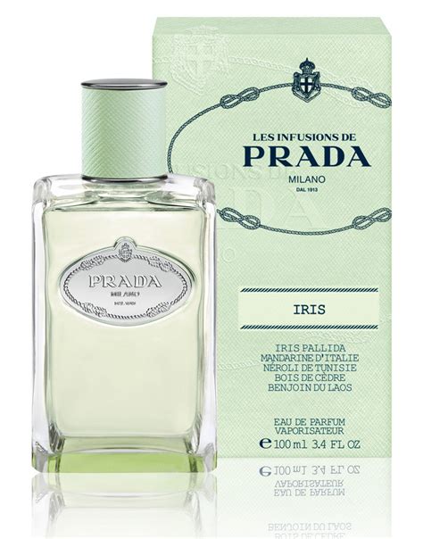 prada infusion d'iris fragrantica|prada infusion d'iris 50ml.